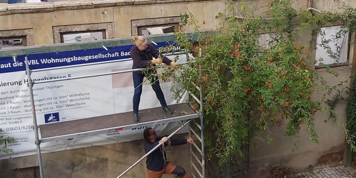 - Rückschnitt, der weh tut-  für einen guten Zweck